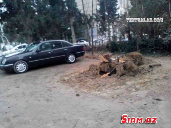 Bakıda uşaq meydançası ağaclarla birgə bir gecədə necə məhv oldu… Bakıda uşaq meydançası ağaclarla birgə bir gecədə necə məhv oldu…