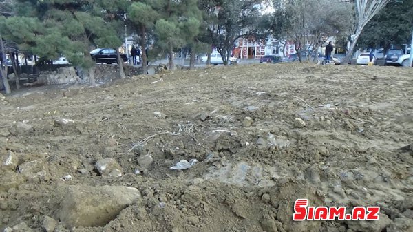 Yenə zeytunluq, yenə “vosmoy bazarı”… FOTO Yenə zeytunluq, yenə “vosmoy bazarı”… FOTO