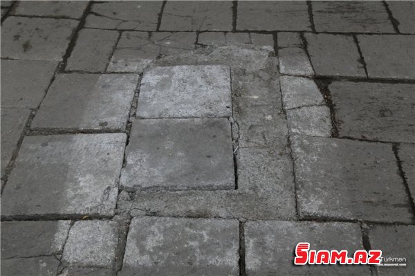 Bərdədə “yaşıllıq cəlladları”iş başında -FOTOLAR Bərdədə “yaşıllıq cəlladları”iş başında -FOTOLAR