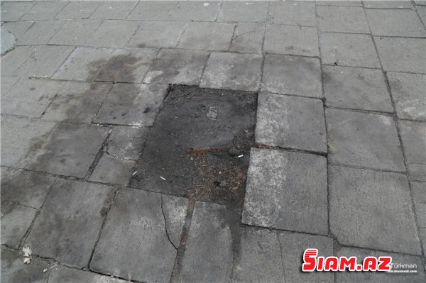 Bərdədə “yaşıllıq cəlladları”iş başında -FOTOLAR Bərdədə “yaşıllıq cəlladları”iş başında -FOTOLAR