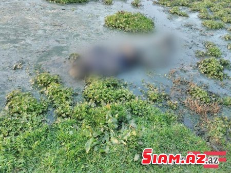 Bakıda məktəblinin müəmmalı ölümü - ŞOK GÖRÜNTÜ Bakıda məktəblinin müəmmalı ölümü - ŞOK GÖRÜNTÜ
