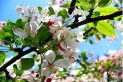 Azərbaycana bahar gəlir: martın 20-də saat 14:28-də – FOTOLAR Azərbaycana bahar gəlir: martın 20-də saat 14:28-də – FOTOLAR