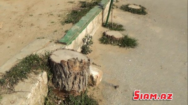 Sakinlərlə şirkət arasında qarşıdurma yarandı Sakinlərlə şirkət arasında qarşıdurma yarandı