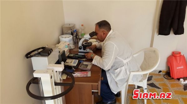 Tovuzda təzə bazar- köhnə bazar mübahisəsi - əhali yeni ticarət mərkəzinə niyə getmir... (FOTOLAR) Tovuzda təzə bazar- köhnə bazar mübahisəsi - əhali yeni ticarət mərkəzinə niyə getmir... (FOTOLAR)