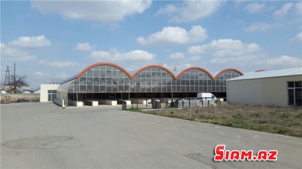 Tovuzda təzə bazar- köhnə bazar mübahisəsi - əhali yeni ticarət mərkəzinə niyə getmir... (FOTOLAR) Tovuzda təzə bazar- köhnə bazar mübahisəsi - əhali yeni ticarət mərkəzinə niyə getmir... (FOTOLAR)