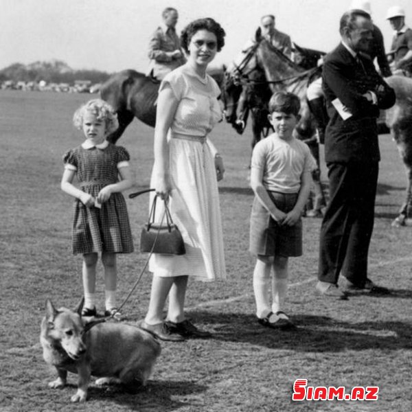 “Qırmızı portfel”, yaşıl “Jaquar”, dovşan ətindən it yemi…- Britaniya kraliçasının sirr kimi qorunan həyatı “Qırmızı portfel”, yaşıl “Jaquar”, dovşan ətindən it yemi…- Britaniya kraliçasının sirr kimi qorunan həyatı
