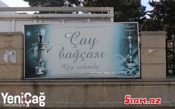 Çayxana, gül dükanı, bazar yoxsa Tennis Akademiyası? - Reportaj - Fotolar Çayxana, gül dükanı, bazar yoxsa Tennis Akademiyası? - Reportaj - Fotolar