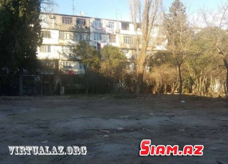 Bakıda “abadlıq” adı ilə ağacları kəsirlər- FOTOLAR Bakıda “abadlıq” adı ilə ağacları kəsirlər- FOTOLAR