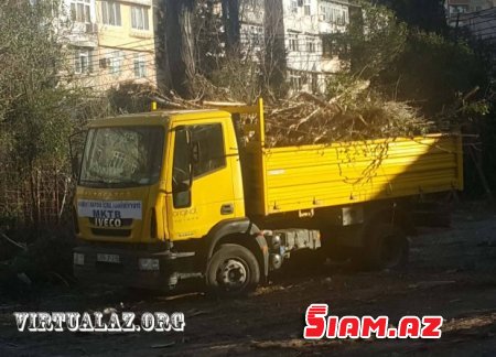 Bakıda “abadlıq” adı ilə ağacları kəsirlər- FOTOLAR Bakıda “abadlıq” adı ilə ağacları kəsirlər- FOTOLAR