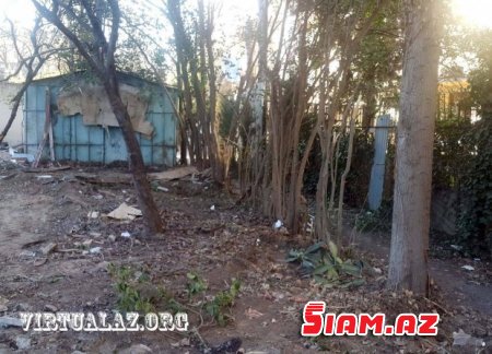 Bakıda “abadlıq” adı ilə ağacları kəsirlər- FOTOLAR Bakıda “abadlıq” adı ilə ağacları kəsirlər- FOTOLAR