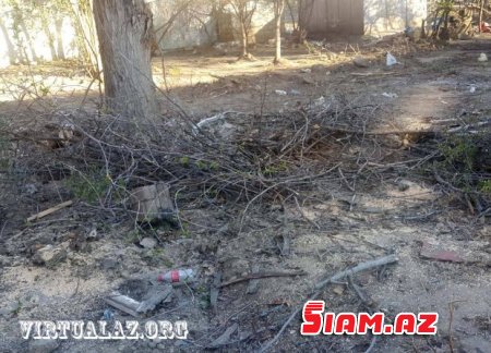 Bakıda “abadlıq” adı ilə ağacları kəsirlər- FOTOLAR Bakıda “abadlıq” adı ilə ağacları kəsirlər- FOTOLAR
