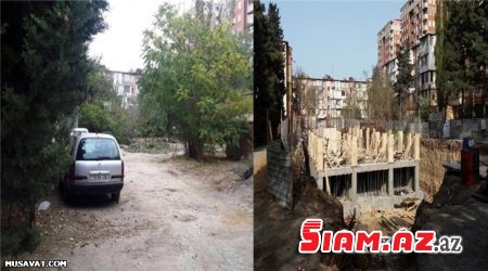Nəsimi rayonunda “yaşıl soyqırım”: 100-ə yaxın ağacı məhv edib yerində bina tikirlər (VİDEO, FOTOLAR) Nəsimi rayonunda “yaşıl soyqırım”: 100-ə yaxın ağacı məhv edib yerində bina tikirlər (VİDEO, FOTOLAR)