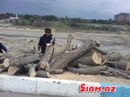 Zakir Fərəcovun özbaşınalığı davam edir Zakir Fərəcovun özbaşınalığı davam edir