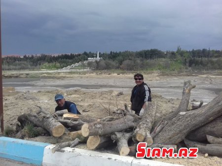 Zakir Fərəcovun özbaşınalığı davam edir Zakir Fərəcovun özbaşınalığı davam edir
