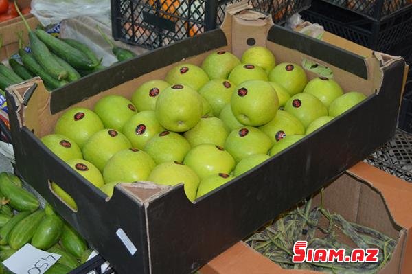 Quba alması İrəvan bazarlarında - Ermənilər təşvişdə/ FOTO Quba alması İrəvan bazarlarında - Ermənilər təşvişdə/ FOTO
