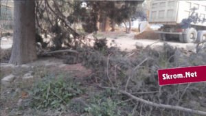 Şəhidin adına salınmış park viran qoyuldu – İcra Hakimiyyəti susur + FOTOLAR Şəhidin adına salınmış park viran qoyuldu – İcra Hakimiyyəti susur + FOTOLAR
