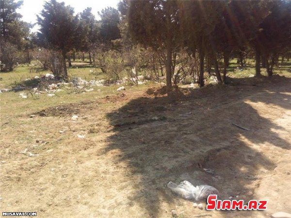 “Qanlı göl” ərazisinin bitməyən problemləri... - REPORTAJ, FOTOLAR “Qanlı göl” ərazisinin bitməyən problemləri... - REPORTAJ, FOTOLAR