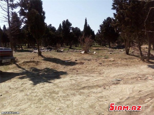“Qanlı göl” ərazisinin bitməyən problemləri... - REPORTAJ, FOTOLAR “Qanlı göl” ərazisinin bitməyən problemləri... - REPORTAJ, FOTOLAR