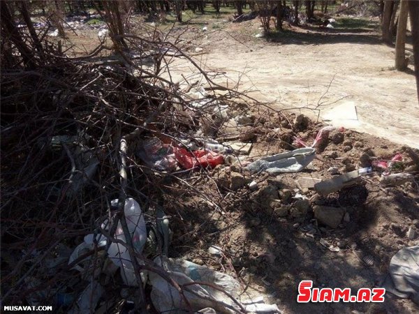 “Qanlı göl” ərazisinin bitməyən problemləri... - REPORTAJ, FOTOLAR “Qanlı göl” ərazisinin bitməyən problemləri... - REPORTAJ, FOTOLAR