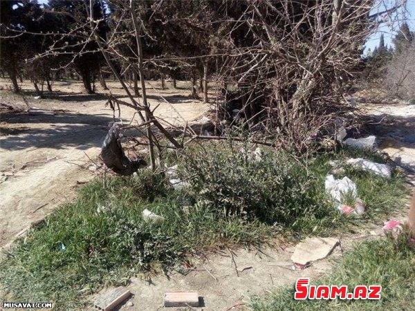 “Qanlı göl” ərazisinin bitməyən problemləri... - REPORTAJ, FOTOLAR “Qanlı göl” ərazisinin bitməyən problemləri... - REPORTAJ, FOTOLAR