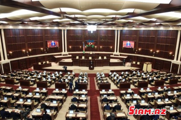 Samir Şərifov təkzib edir, ağacları deputatlara görə kəsiblər Samir Şərifov təkzib edir, ağacları deputatlara görə kəsiblər