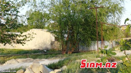 40 ailə zibilliklər arasında gizlədilir: - “Bizə ayrılan vəsaitlər məmurların cibindədir” 40 ailə zibilliklər arasında gizlədilir: - “Bizə ayrılan vəsaitlər məmurların cibindədir”
