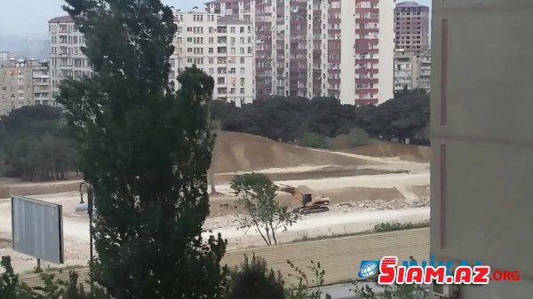 Xətai rayonunda növbəti YAŞIL QƏTLİAM – Ağacları kəsib obyekt tikirlər (VİDEO+FOTO) Xətai rayonunda növbəti YAŞIL QƏTLİAM – Ağacları kəsib obyekt tikirlər (VİDEO+FOTO)