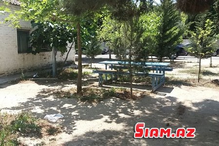 Bakının susuz küçələri: Vətəndaşlar ağac, “Azərsu” sayğac hayında... REPORTAJ, FOTOLAR Bakının susuz küçələri: Vətəndaşlar ağac, “Azərsu” sayğac hayında... REPORTAJ, FOTOLAR