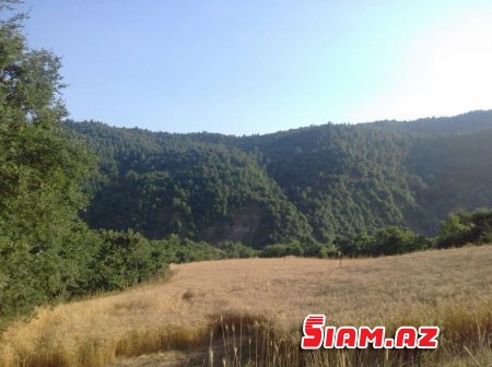 Rövşən Bağırov taxılçılığa belə zərbə vurur - FOTOLAR Rövşən Bağırov taxılçılığa belə zərbə vurur - FOTOLAR