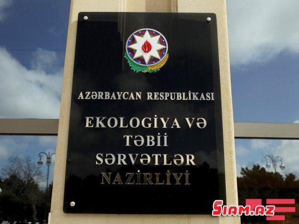 Razim Məmmədov "Yaşıllıq qatili" “jek” müdirini niyə müdafiə edir? – Xətaidə milyonluq maxinasiyanın üstü açılır Razim Məmmədov "Yaşıllıq qatili" “jek” müdirini niyə müdafiə edir? – Xətaidə milyonluq maxinasiyanın üstü açılır