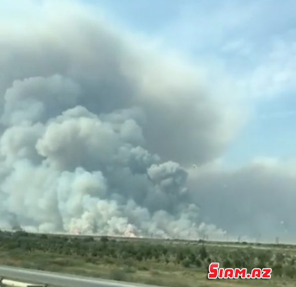 Xızıda silah anbarı partlayıb, ətrafa mərmilər səpələnib Yenilənir FOTO VİDEO Xızıda silah anbarı partlayıb, ətrafa mərmilər səpələnib Yenilənir FOTO VİDEO