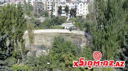 Adil Vəliyevin bu boyda həngamədən xəbəri yoxdur? - FOTOLAR Adil Vəliyevin bu boyda həngamədən xəbəri yoxdur? - FOTOLAR