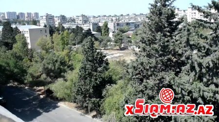 Adil Vəliyevin bu boyda həngamədən xəbəri yoxdur? - FOTOLAR Adil Vəliyevin bu boyda həngamədən xəbəri yoxdur? - FOTOLAR