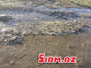 Oğuz sakinlərini narazı salan nədir? – FOTOLAR Oğuz sakinlərini narazı salan nədir? – FOTOLAR
