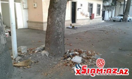 Göyçayın icra başçısı “zibilpulu”ndan sərvət qazanır? - sakinlər ölkə başçısına müraciət etdi-FOTO Göyçayın icra başçısı “zibilpulu”ndan sərvət qazanır? - sakinlər ölkə başçısına müraciət etdi-FOTO