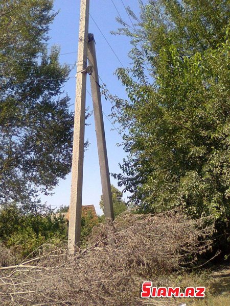 Bərdədə elektrik xətlərindən ölüm qoxusu gəlir Bərdədə elektrik xətlərindən ölüm qoxusu gəlir