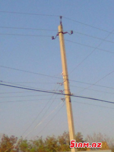 Bərdədə elektrik xətlərindən ölüm qoxusu gəlir Bərdədə elektrik xətlərindən ölüm qoxusu gəlir