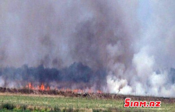 SON DƏQİQƏ: 10 min ton planı toplaya bilməyən başçının 3 min ton pambığı yandı – GORANBOYDA RƏZALƏT+FOTOFAKT SON DƏQİQƏ: 10 min ton planı toplaya bilməyən başçının 3 min ton pambığı yandı – GORANBOYDA RƏZALƏT+FOTOFAKT