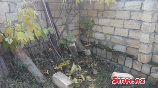 “Gecə siçovulları”nın təxribatı!? “Gecə siçovulları”nın təxribatı!?