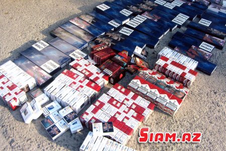 Gədəbəyin icra başçısının meşəni necə zəbt etməsinin ilginc təfərrüatları Gədəbəyin icra başçısının meşəni necə zəbt etməsinin ilginc təfərrüatları