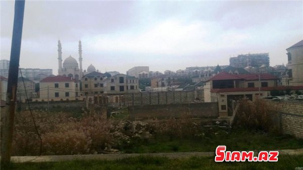 Binəqədidə məhv edilən zeytunluqda son durum - REPORTAJ, FOTOLAR Binəqədidə məhv edilən zeytunluqda son durum - REPORTAJ, FOTOLAR