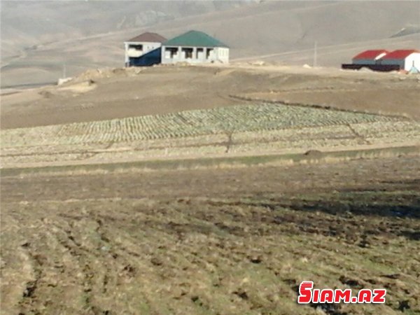 Gədəbəyin icra başçısının meşəni necə zəbt etməsinin ilginc təfərrüatları Gədəbəyin icra başçısının meşəni necə zəbt etməsinin ilginc təfərrüatları